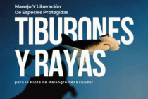Guia de Buenas prácticas de tiburones y rayas