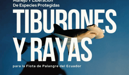Guia de Buenas prácticas de tiburones y rayas