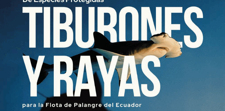 Guia de Buenas prácticas de tiburones y rayas