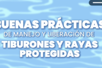VIDEO - Buenas practicas para tiburones y rayas protegidas en pesca de palangre