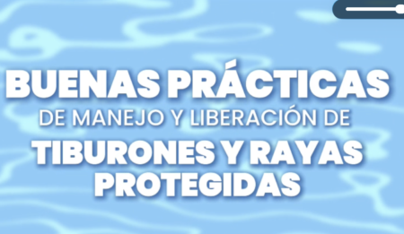 VIDEO - Buenas practicas para tiburones y rayas protegidas en pesca de palangre