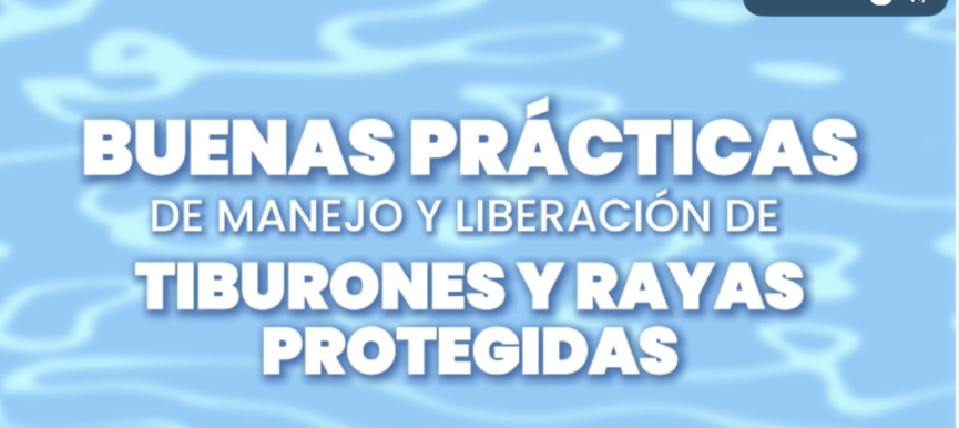VIDEO - Buenas practicas para tiburones y rayas protegidas en pesca de palangre